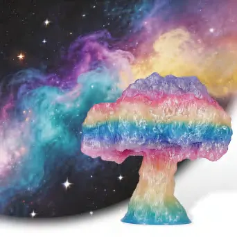 Transparent Rainbow Finished Print 12